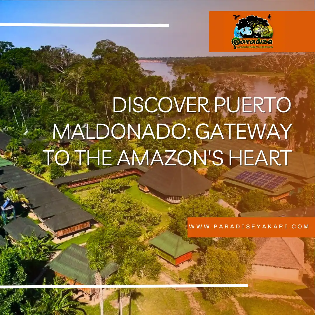 Discover Puerto Maldonado: Gateway to the Amazon (2024)