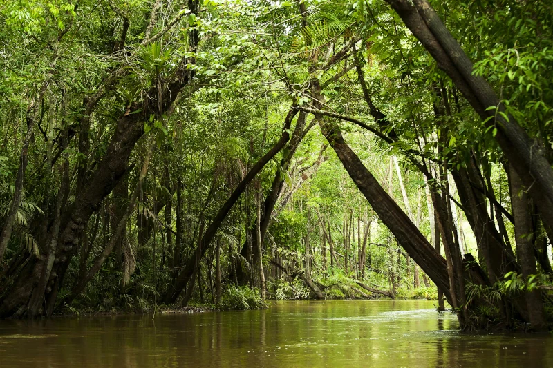 amazon river in peru