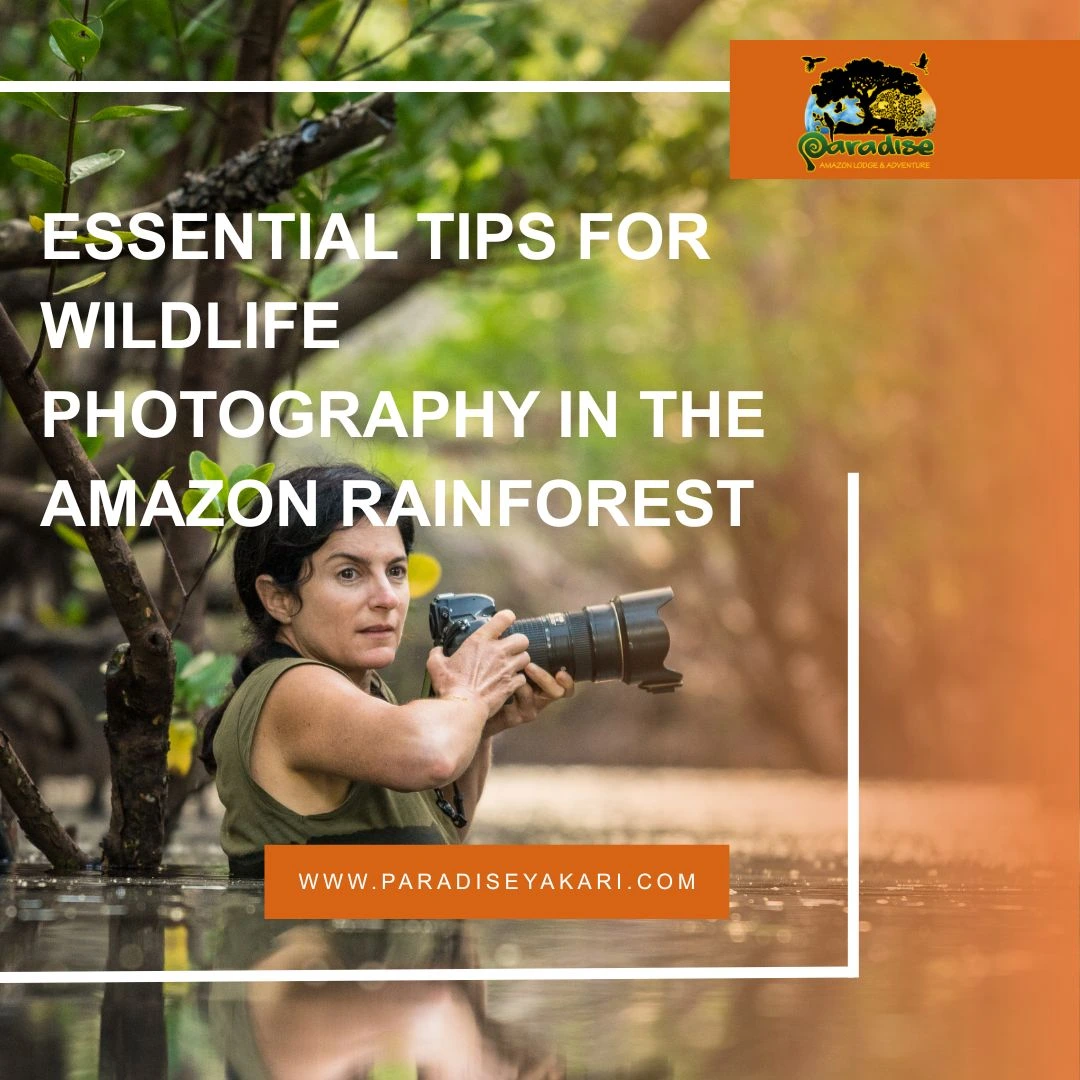 Essential Tips for Wildlife Photography in the Amazon Rainforest