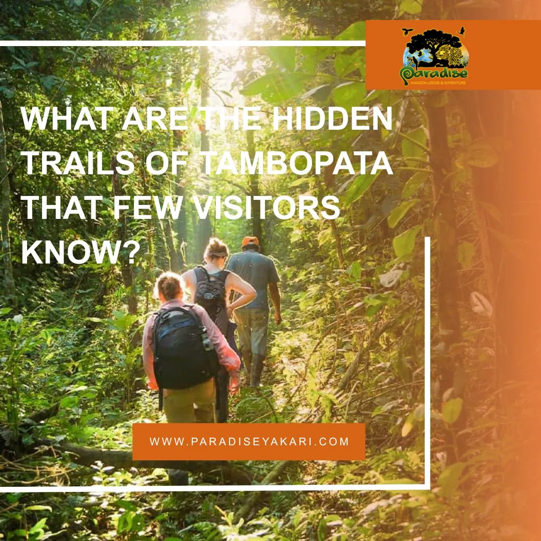 Hidden Trails of Tambopata