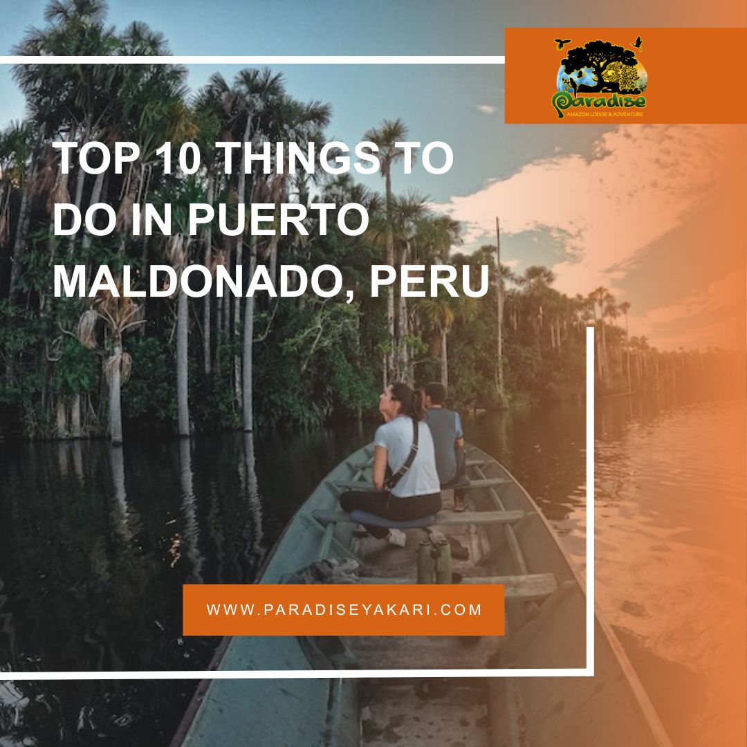 Top 10 Things to Do in Puerto Maldonado, Peru
