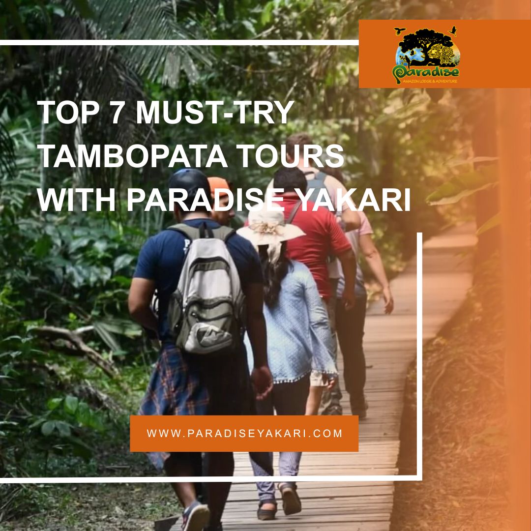 Top 7 Must-Try Tambopata Tours with Paradise Yakari