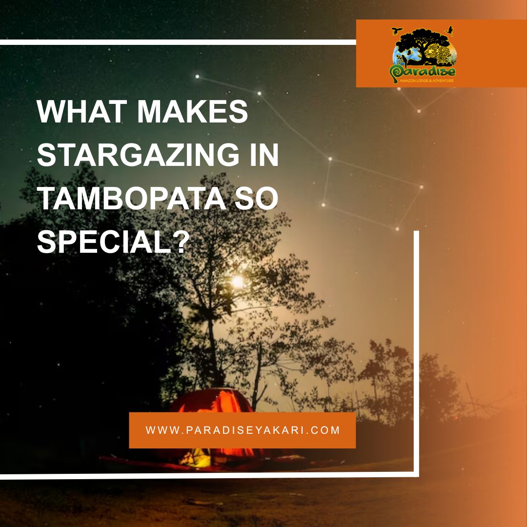 What Makes Stargazing in Tambopata So Special