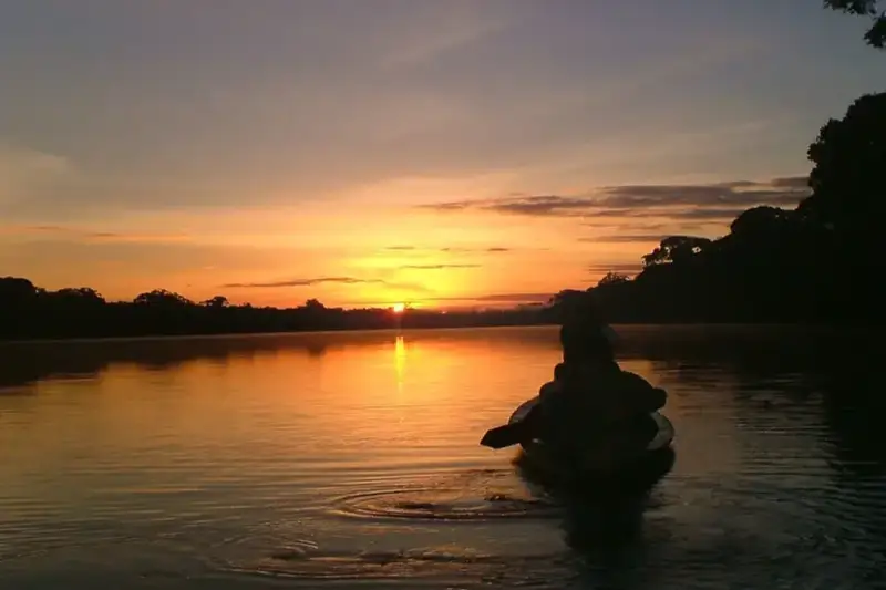 night jungle tour amazon