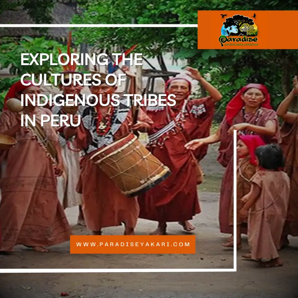 peruvian indigenous tribes
