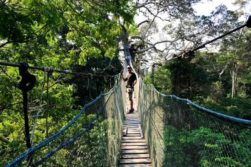 amazon zip line
