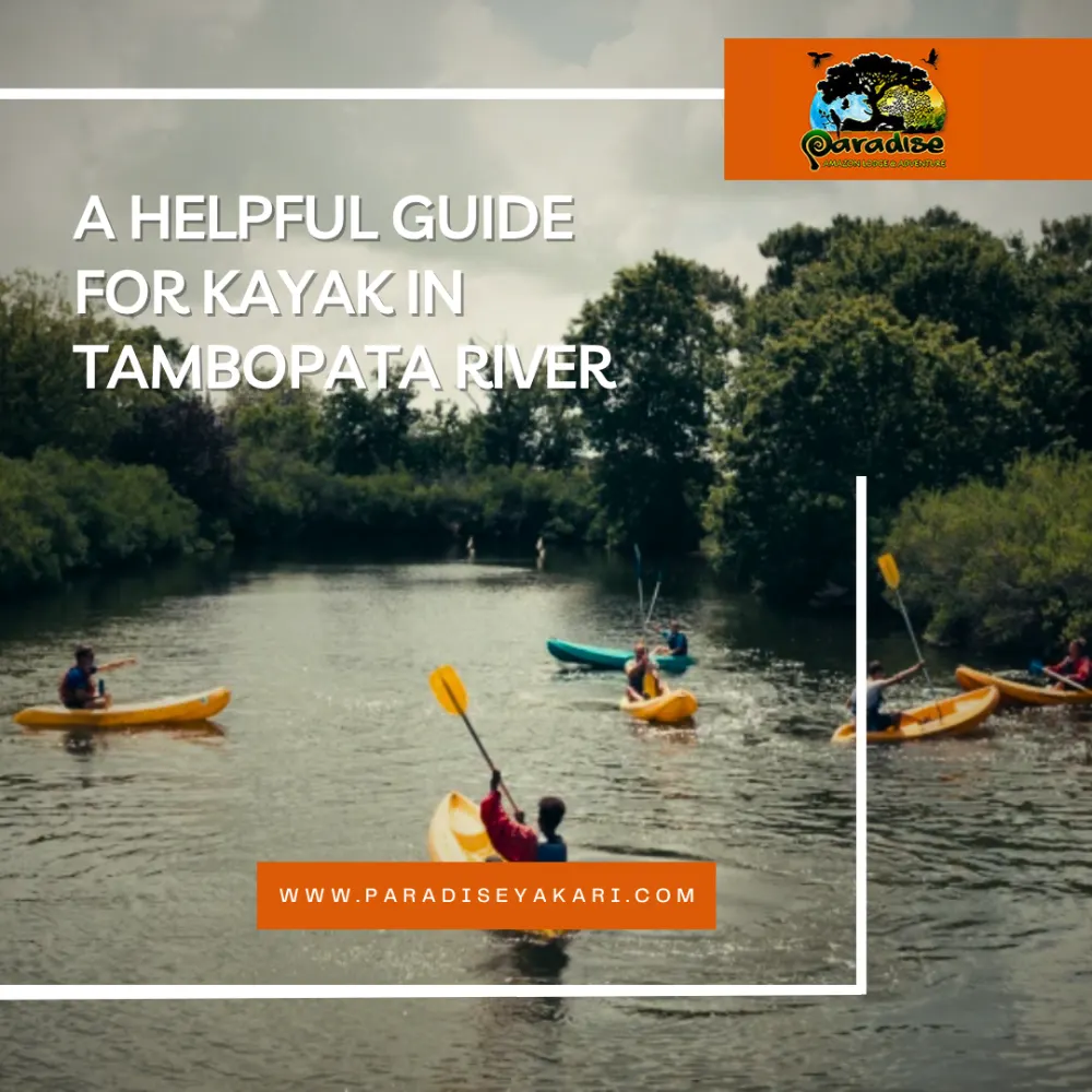 kayak in tambopata river