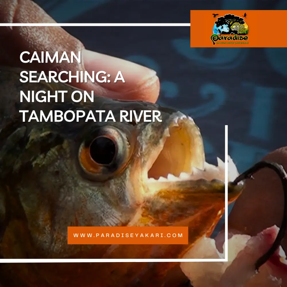 Piranha fishing