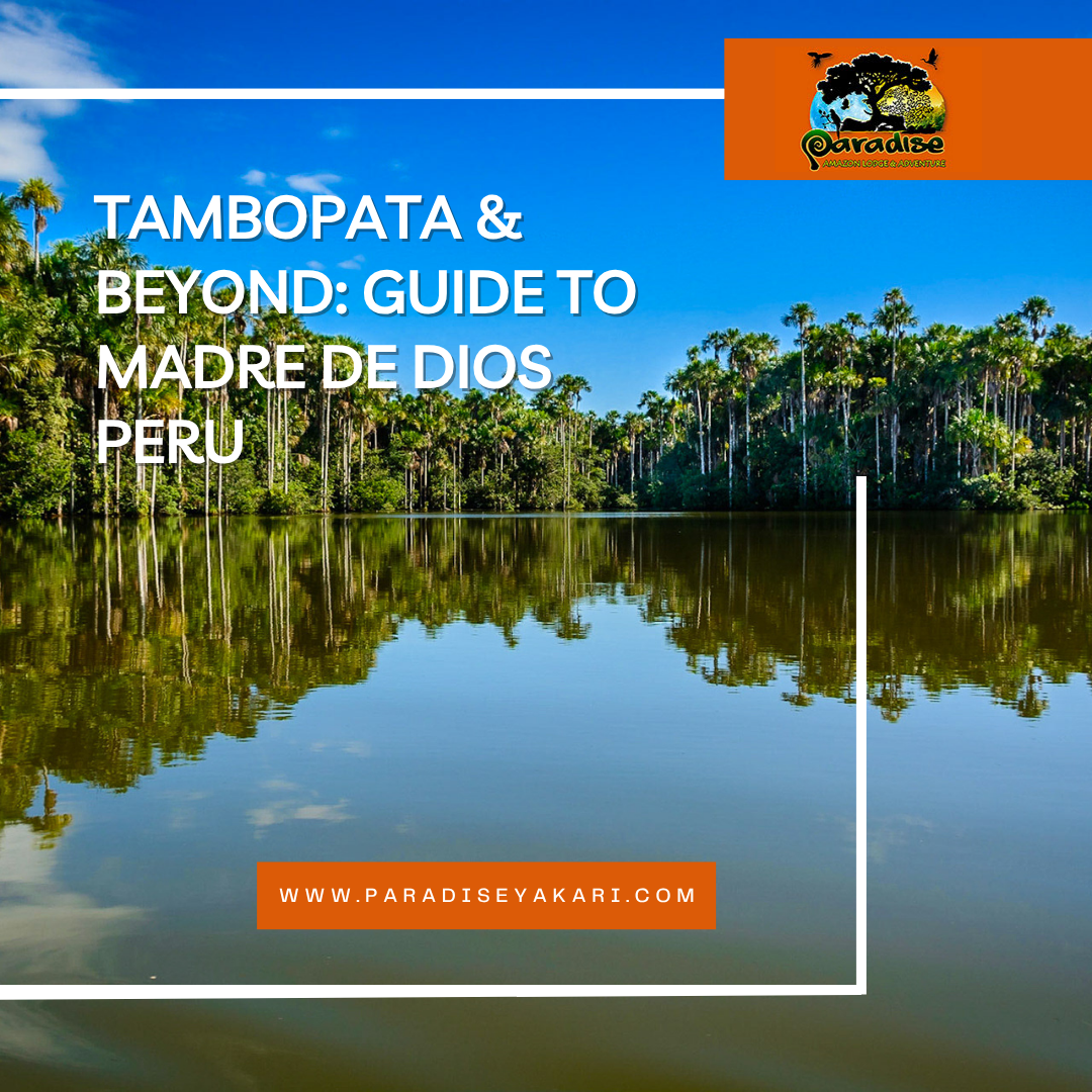 Madre de Dios Peru