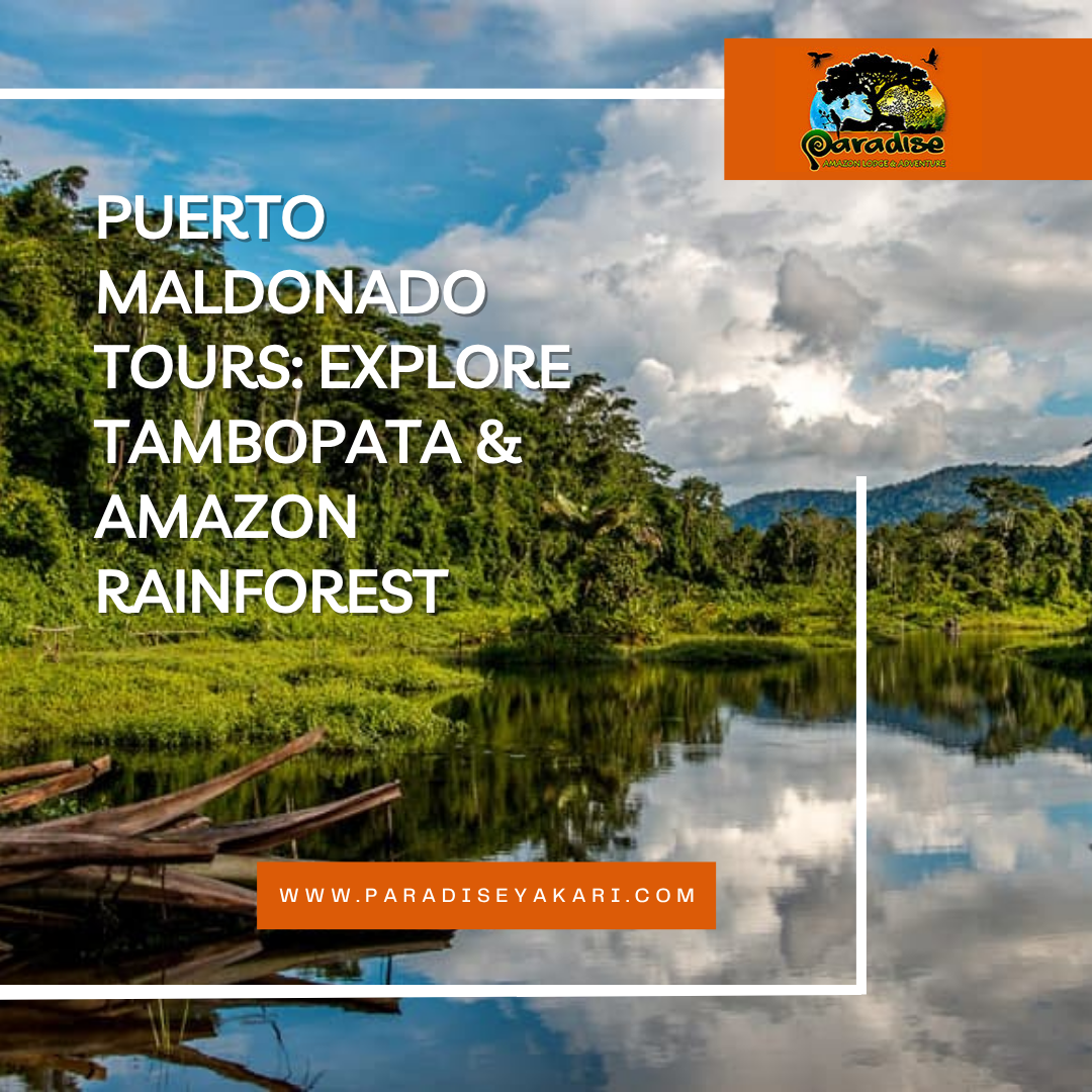 Puerto Maldonado Tours