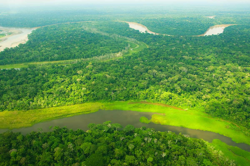Puerto Maldonado Tours