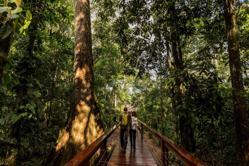 Madre de Dios Peru