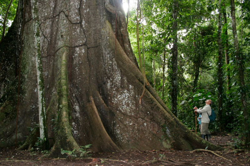 Puerto Maldonado Tours