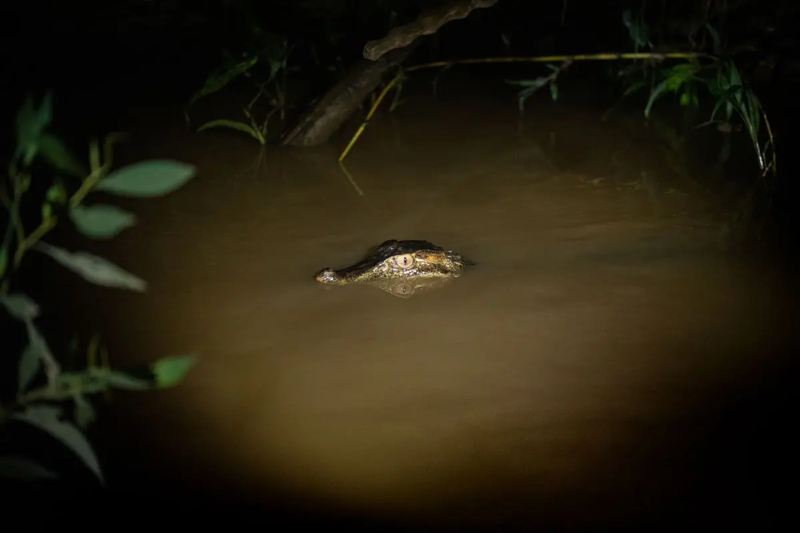 Puerto Maldonado Tours