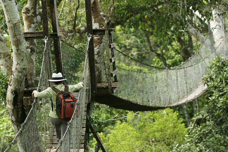 Puerto Maldonado Tours