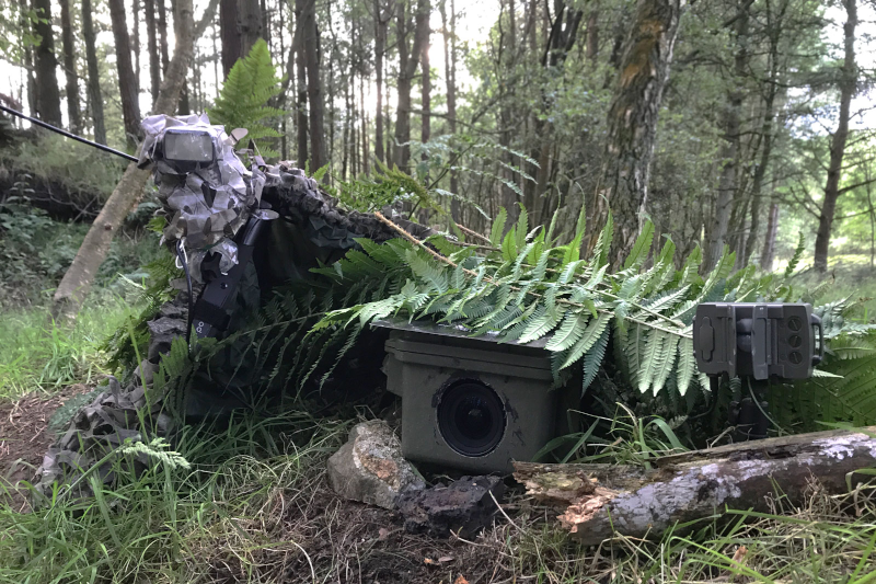 camera trapping