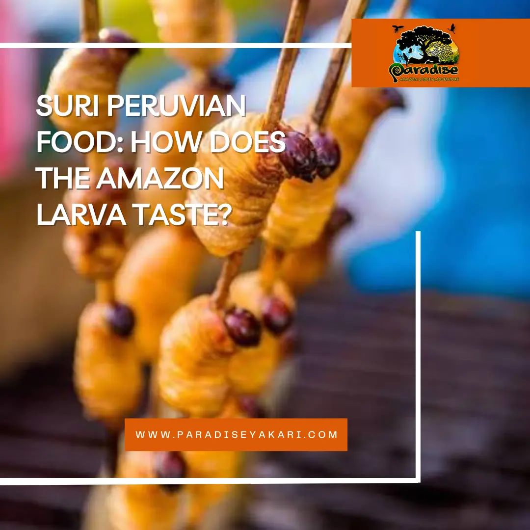 Suri Peruvian Food