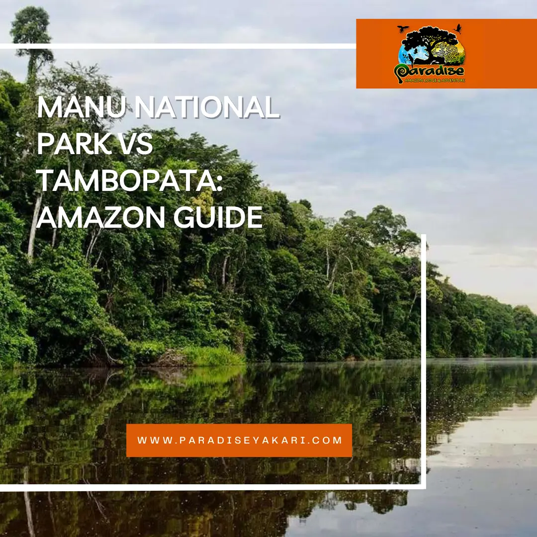 manu national park vs tambopata