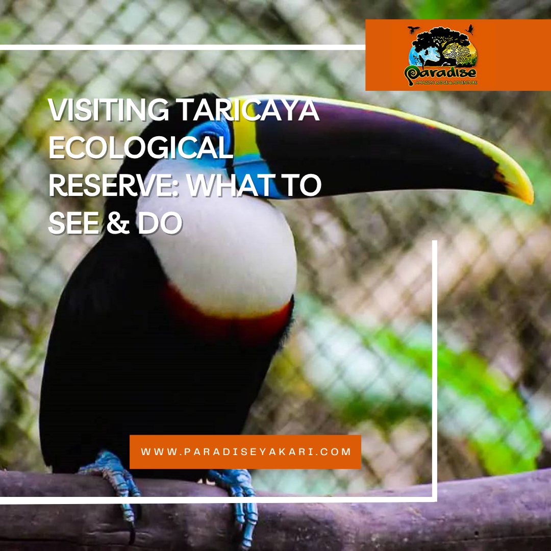 Taricaya Rescue Centre