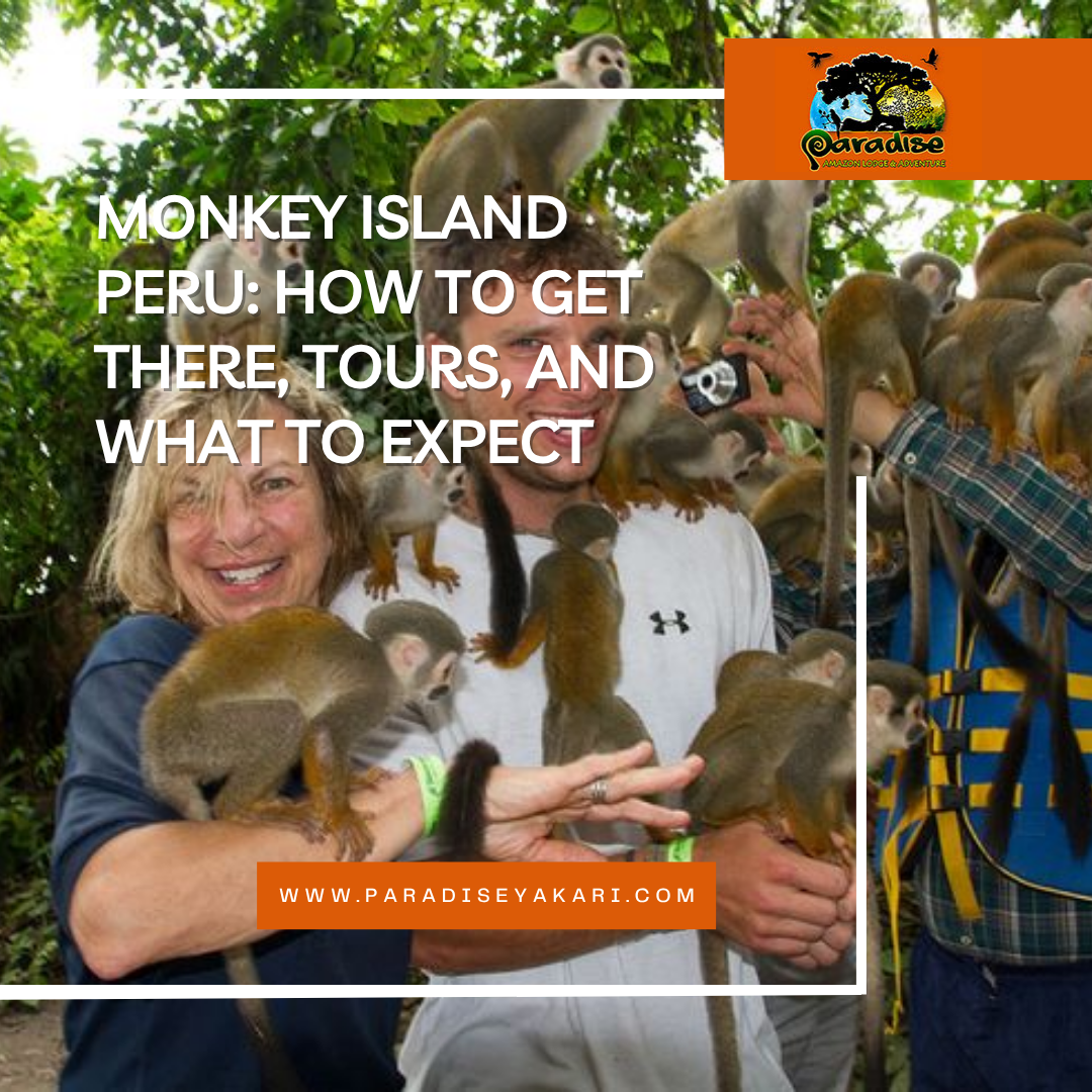 monkey island peru