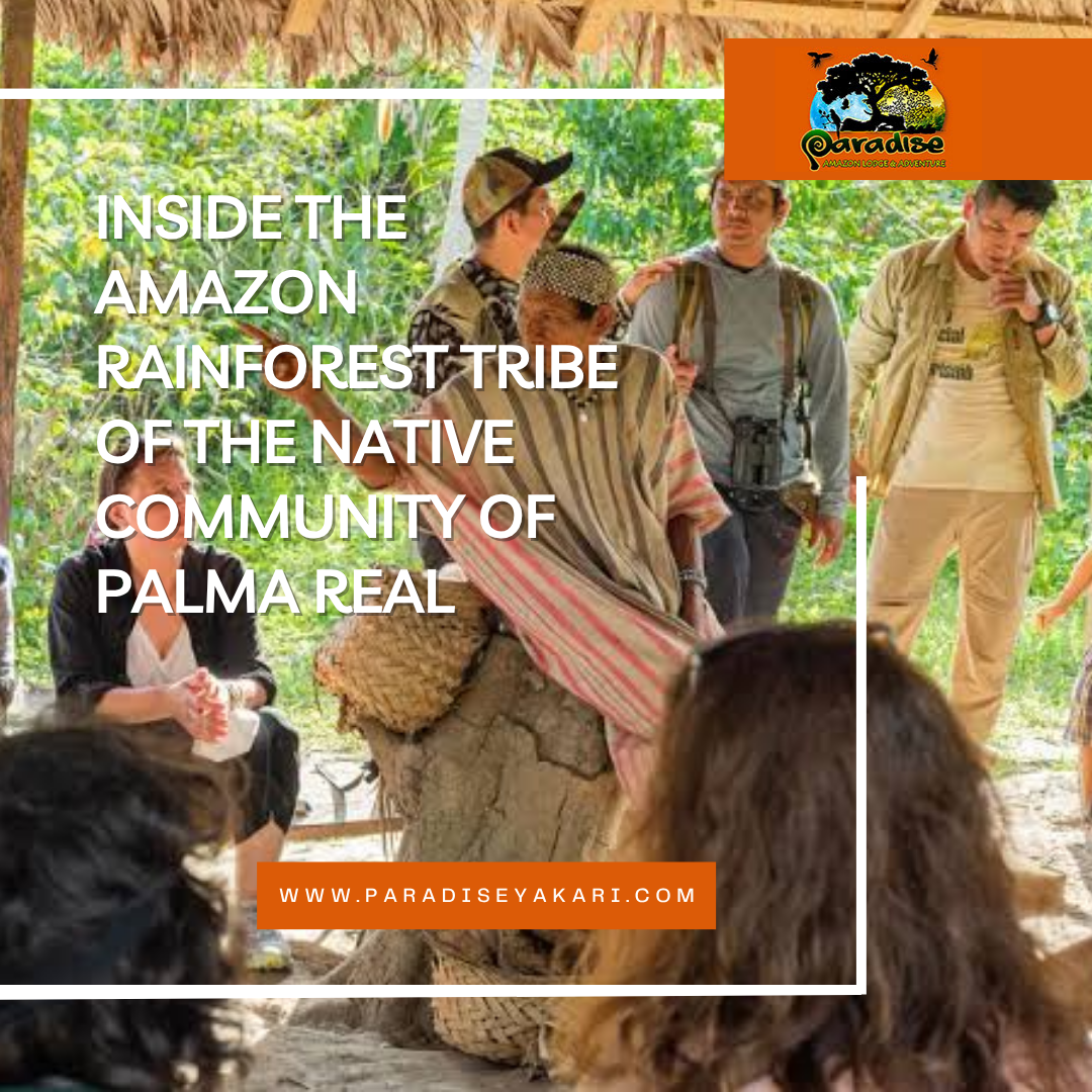 amazon rainforest tribe
