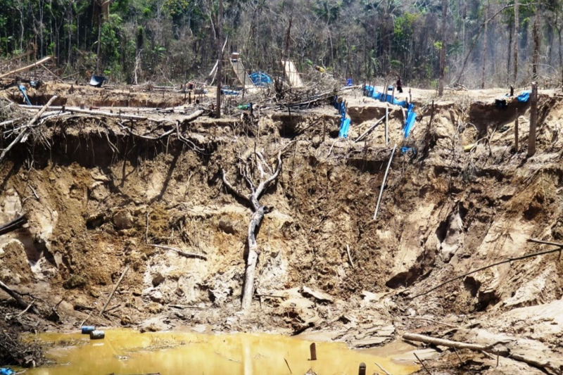 Illegal Mining in Peru