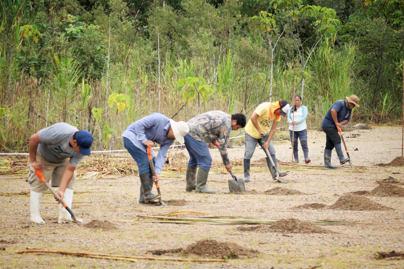 Illegal Mining in Peru