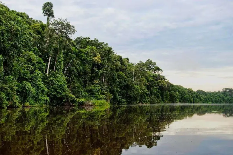 manu national park vs tambopata