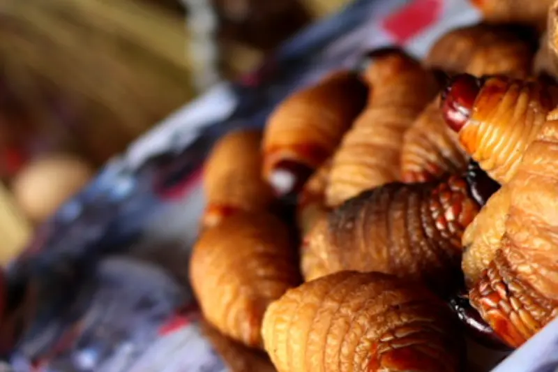 Suri Peruvian Food
