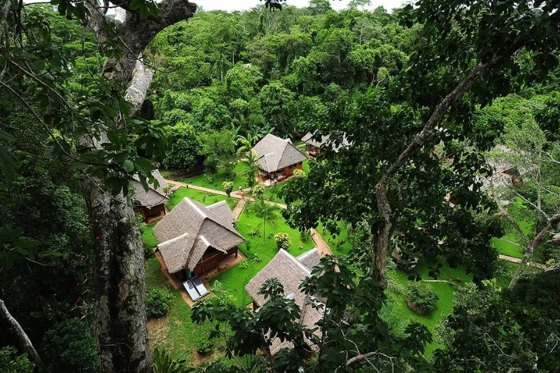 wifi in the amazon rainforest